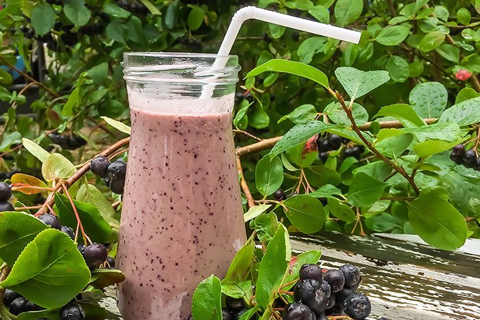 Rezept für Smoothie (Aronia ORIGINAL)